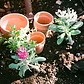 Garden pots